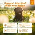thumbnail image 4 of Zesty Paws Allergy & Immune, Salmon, 160 ct., 4 of 6