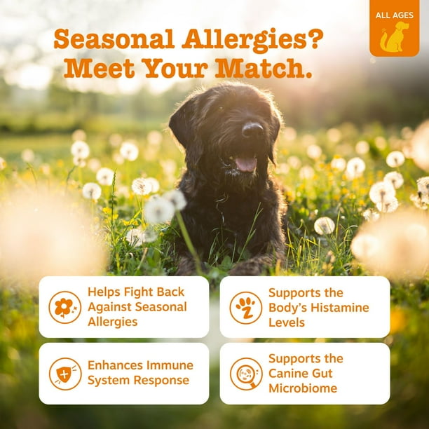 Zesty Paws Allergy Immune, Salmon, 160