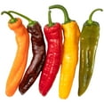 thumbnail image 2 of Sweet Snap Peppers, 16 oz., 2 of 3