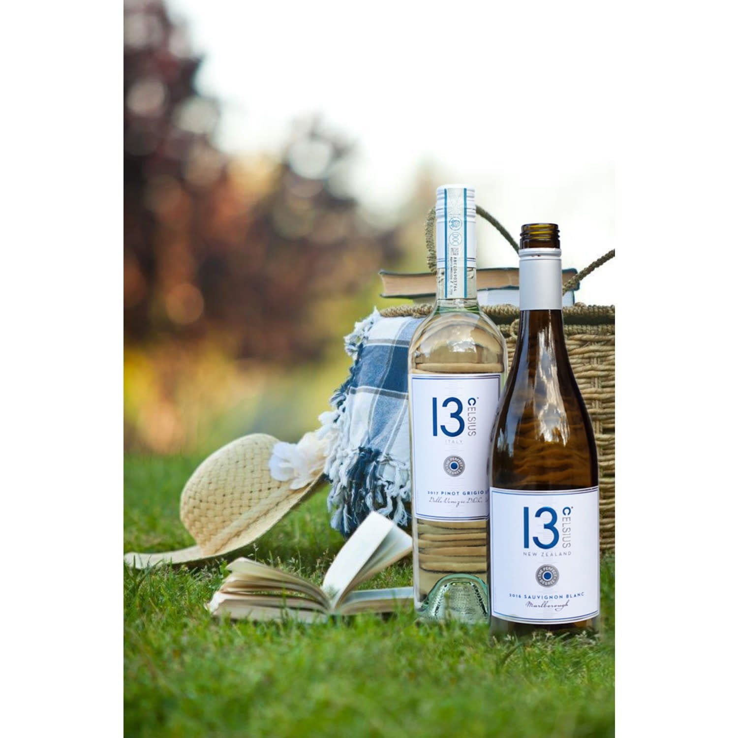 13 Celsius Sauvignon Blanc 750 ml - Samsclub.com
