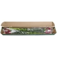 thumbnail image 5 of Member's Mark Carnations, choose color and stem count, 5 of 7