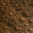 thumbnail image 4 of Select Surfaces Smoked Hickory SpillDefense Laminate Flooring, 4 of 11