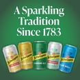 thumbnail image 4 of Schweppes Ginger Ale 12 fl. oz., 24 pk., 4 of 11