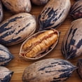 thumbnail image 2 of Pawnee Pecan Tree, #5 Pot, 2 of 2
