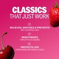 thumbnail image 4 of ChapStick Honey Variety Pack, 12 ct., 4 of 9