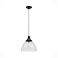 thumbnail image 2 of Hunter Cypress Grove with Clear Holophane Glass 1 Light Pendant Ceiling Light Fixture, 2 of 8