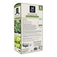 thumbnail image 2 of Member's Mark Hosta Combo Pizzazz & August Moon Dormant Bulbs, 6pk, 2 of 9