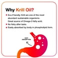 thumbnail image 6 of MegaRed Omega-3 Krill Oil Supplement Softgels, 500mg, 90 ct., 6 of 8