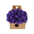 thumbnail image 3 of Statice, Purple (200 stems), 3 of 3