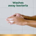 thumbnail image 8 of Irish Spring Body Wash for Men, Original Clean, 30 fl. oz., 2 pk., 8 of 10