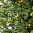 thumbnail image 6 of Member's Mark 7' Linden Fir Slim Pre-Lit Christmas Tree, 6 of 11