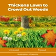 thumbnail image 3 of Scotts Winterguard Fall Weed & Feed - 45.1 lbs., 3 of 9
