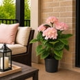 thumbnail image 4 of Artificial 36" Hydrangea Bush in Black Grower's Pot, Assorted Colors, 4 of 6