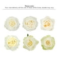 thumbnail image 4 of Member's Mark Ecuadorian Premium Roses, choose color variety and stem count, 4 of 7