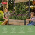 thumbnail image 11 of Keter Signature Collection 43" x 61" Resin Tulip Privacy Screen Planter, 11 of 12
