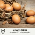 thumbnail image 5 of Member's Mark Pasture Raised Grade A Large Brown Eggs, 1.5 dozen, 5 of 7