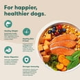 thumbnail image 4 of Jinx Salmon, Sweet Potato & Carrot Recipe, GF, Dry Dog Food, 23.5 lbs., 4 of 11