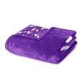 thumbnail image 4 of Logo Brands TCU Horned Frogs 60"x70" Super Plush Blanket, 4 of 7