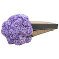 thumbnail image 4 of Member's Mark Color Enhanced Hydrangeas, 20 stems, choose color, 4 of 4