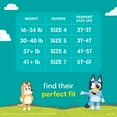thumbnail image 3 of Pampers Easy Ups Training Pants Underwear, Sizes 2T-6T, 3 of 9