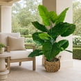 thumbnail image 4 of Artificial 54" Taro in Handwoven Basket - Natural or Bi-Color Baskets, 4 of 5