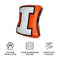 thumbnail image 3 of Logo Brands Illinois Fighting Illini XL Puff Pillow, 3 of 5