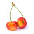thumbnail image 3 of Rainier Cherries, 2 lbs., 3 of 4