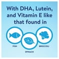 thumbnail image 4 of Similac Go & Grow Non-GMO with 2'-FL HMO Milk-Based Powder Toddler Drink (40 oz.), 4 of 6