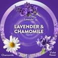 thumbnail image 5 of Air Wick Plug In Essential Oil Air Freshener Refills, Lavender & Chamomile, 9 refills, 5 of 11