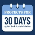 thumbnail image 3 of PetArmor Plus Capstar Flea & Tick Bundle for Medium Dogs, 3-Month Supply, >25 lbs., 3 of 7