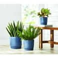 thumbnail image 4 of Member's Mark 3-Pack Ceramic Planters with Saucers, 4 of 8