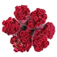 thumbnail image 1 of Member's Mark Spray Roses, Choose color variety and stem count, 1 of 3
