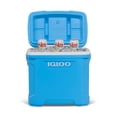 thumbnail image 14 of Igloo 30-Quart Cooler, 14 of 14