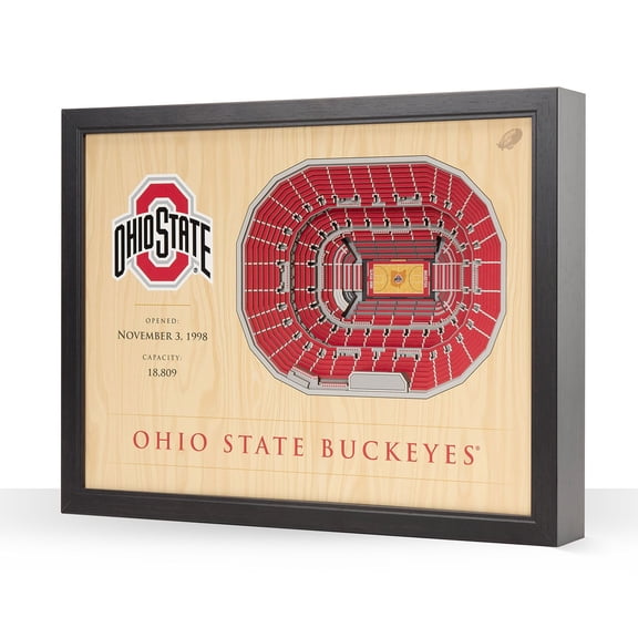YouTheFan Ohio State Buckeyes 25-Layer Basketball Stadium View 3D Wall Art