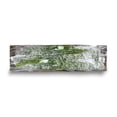 thumbnail image 6 of Member's Mark White Gypsophila, choose stem count, 6 of 6