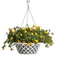 thumbnail image 3 of Member's Mark 14'' Hanging Flower Pot with Stainless Steel Chain, 3 of 3