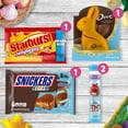 thumbnail image 6 of Mars Variety Pack, Easter Basket Builder Candy, 5 pcs., 6 of 8