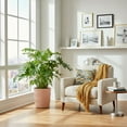 thumbnail image 4 of Costa Farms 10" Philodendron Tropical Plant in Decorative Pot, 4 of 9