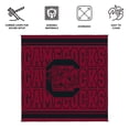 thumbnail image 8 of Logo Brands South Carolina Gamecocks 106"x106" Rally Mat, 8 of 8
