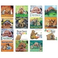 thumbnail image 4 of Bear Stays Up for Christmas, Hardcover, 4 of 4