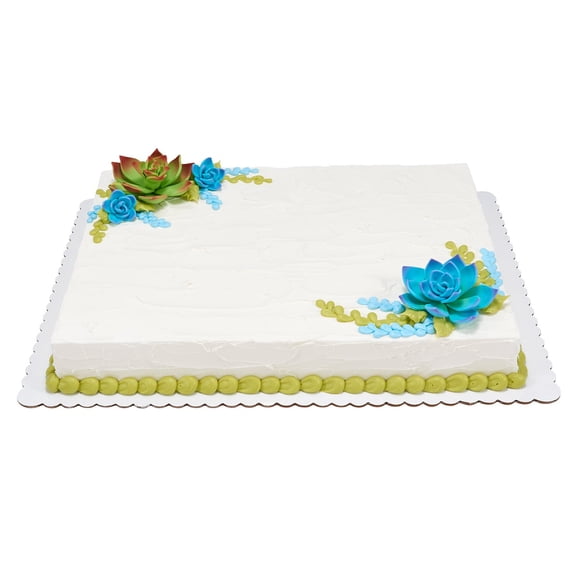 Member's Mark Succulents with Texture Half Sheet Cake