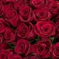thumbnail image 7 of Member's Mark Rose Vase Arrangement, 100 stems, 7 of 12