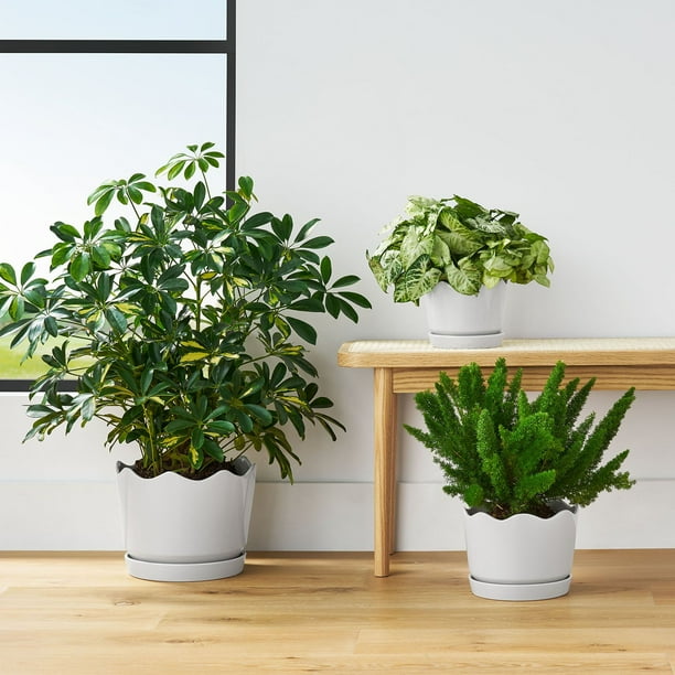 Member's Mark Ceramic Planters with Saucers, Set of 3 - Samsclub.com