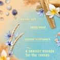thumbnail image 7 of Febreze Bathroom Air Freshener, Spring Mix, 6 ct., 7 of 10