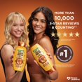thumbnail image 6 of Garnier Whole Blends Honey Treasures Conditioner, 40 fl. oz., 6 of 9
