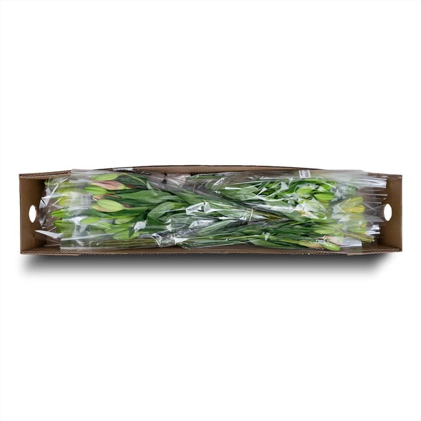 Member's Mark LA Hybrid Lilies, choose color and stem count