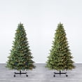 thumbnail image 3 of Evergreen Classics 7' to 9' Grow 'n Stow Fir Christmas Tree, 3 of 21