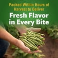 thumbnail image 4 of Del Monte Cut Green Beans, 14.5 oz., 8 pk., 4 of 5