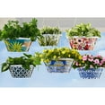 thumbnail image 1 of Member's Mark 14" Hanging Melamine Flower Pot with Stainless Steel Chain, 1 of 7