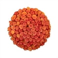 thumbnail image 1 of Member's Mark Ecuadorian Premium Roses, choose color variety and stem count, 1 of 9